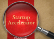 Seed Accelerator